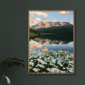 Fine Art Mountain Photography Print Rocky Mountain National Park Telluride Colorado Print Cabin Wall Art Cabin Print Mountain Print