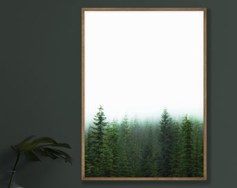 Fine Art Misty Forest Print- Foggy Forest Wall Art Photography Print Washington Art Pacific Northwest Art PNW Art Cabin Photography