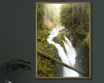 Misty Forest Waterfall Print: Pacific Northwest Fine Art Photography
