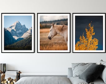 Grand Teton National Park Photography Print Set: Mountain, Horse, Autumn Tree