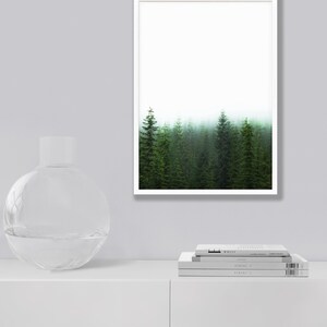 May include: A framed print of a misty forest with tall evergreen trees. The trees are green and the background is a soft white.