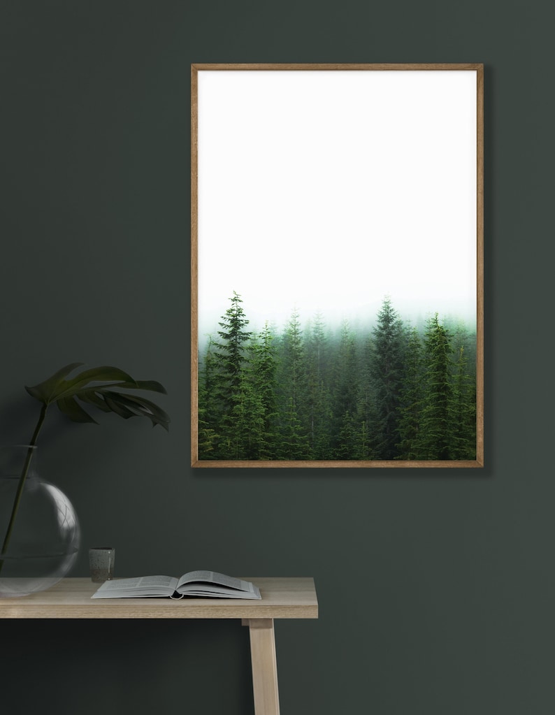 May include: A framed photograph of a misty forest scene with tall evergreen trees. The photo is in a light wood frame and is hanging on a dark green wall.
