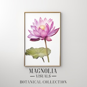 Op de afbeelding: Een aquarel van een roze lotusbloem met een groen blad. Het schilderij is ingelijst in een gouden lijst en heeft de tekst "Magnolia Visuals Botanical Collection" onderaan.