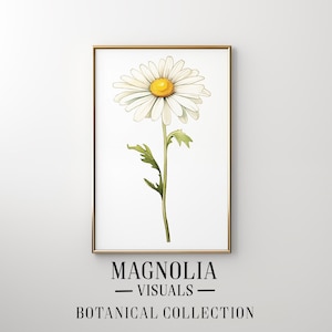 Op de afbeelding: Een witte madeliefje met een gele kern, geschilderd in aquarel, in een gouden lijst. De afbeelding heeft de titel "Magnolia Visuals - Botanical Collection".