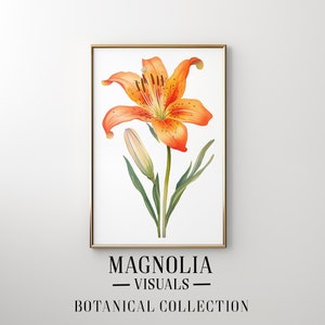 Op de afbeelding: Een botanische illustratie van een oranje lelie met een knop, tegen een witte achtergrond. De lelie heeft een delicaat, ingewikkeld ontwerp met oranje en gele tinten. De afbeelding is ingelijst in een gouden lijst.