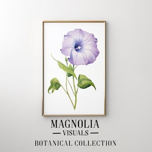 Op de afbeelding: Een aquarel van een paarse ochtendglorie met groene bladeren. Het schilderij is ingelijst in een gouden lijst en heeft de tekst "Magnolia Visuals Botanical Collection" onderaan.