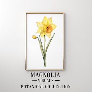 Op de afbeelding: Een ingelijste print van een gele narcis met een oranje hart. De print is getiteld "Magnolia Visuals Botanical Collection".
