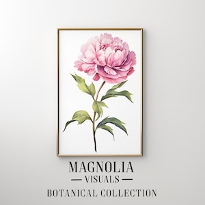 Op de afbeelding: Een ingelijst aquarel schilderij van een roze pioenroos met groene bladeren. Het schilderij is getiteld "Magnolia Visuals - Botanical Collection".