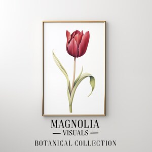 Op de afbeelding: Een ingelijste botanische illustratie van een enkele rode tulp met groene bladeren. De print is getiteld "Magnolia Visuals - Botanical Collection".