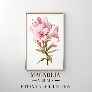 Op de afbeelding: Een aquarel van een roze magnolia bloem met groene bladeren en knoppen. Het schilderij is ingelijst in een gouden lijst en heeft de tekst "Magnolia Visuals Botanical Collection" onder de afbeelding.