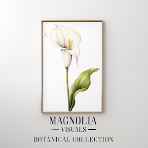 Op de afbeelding: Een aquarel van een witte calla met een gele kern en groene bladeren. Het schilderij is ingelijst in een gouden lijst en heeft de tekst "MAGNOLIA VISUALS BOTANICAL COLLECTION" onderaan.
