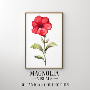 Op de afbeelding: Een ingelijste botanische print met een levendige rode hibiscusbloem met groene bladeren en stengel. Het kunstwerk staat tegen een witte achtergrond en is ingelijst in een goudkleurige lijst. De tekst "MAGNOLIA VISUALS BOTANICAL COLLECTION" staat onderaan.