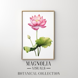 Op de afbeelding: Een aquarel van een roze lotusbloem met groene bladeren. Het schilderij is ingelijst in een gouden lijst en heeft de tekst "Magnolia Visuals Botanical Collection" onderaan.