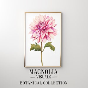 Op de afbeelding: Een aquarel van een roze en witte dahlia met groene bladeren. De bloem is in een gouden lijst en de tekst "MAGNOLIA VISUALS BOTANICAL COLLECTION" staat onder de lijst.