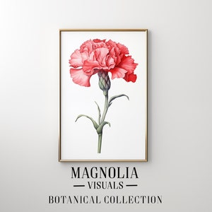 Op de afbeelding: Een enkele roze anjer met groene bladeren en stengel, ingelijst in een gouden lijst. De afbeelding heeft de titel "Magnolia Visuals - Botanical Collection".