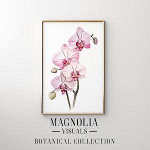 Op de afbeelding: Een ingelijste print van een roze orchidee met een witte achtergrond. De print is getiteld "Magnolia Visuals - Botanical Collection".