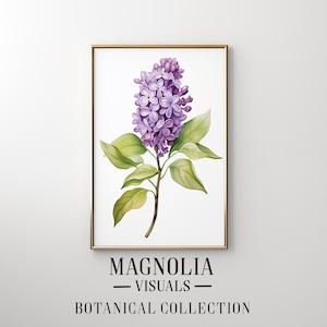 Op de afbeelding: Een aquarel van een paarse lila bloem met groene bladeren. Het schilderij is ingelijst in een gouden lijst en heeft de tekst "MAGNOLIA VISUALS BOTANICAL COLLECTION" onderaan.