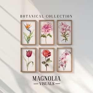 Op de afbeelding: Zes ingelijste botanische prints met verschillende bloemen, waaronder een paradijsvogel, dahlia, lelie, tulp, roos en orchidee. De prints zijn gerangschikt in twee rijen van drie, met de tekst "BOTANICAL COLLECTION" erboven en "MAGNOLIA - VISUALS -" eronder.