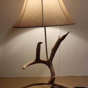 May include: A table lamp with a beige lampshade and a base made from a set of antlers. The lamp is turned on and the light is shining through the lampshade.