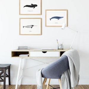 Long-finned Pilot Whale watercolor art From our 'Toothed Whales' series Great for the bedroom or nursery image 6