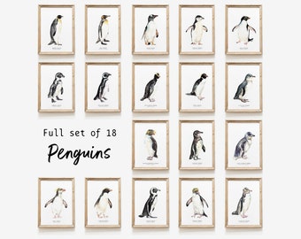 Set of 18 Penguins | watercolour set | gallery fine art prints | wall art print set | bird lover gift | Home décor gift | penguin species
