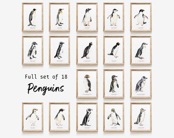 Conjunto de 18 pingüinos / conjunto de acuarela / impresiones artísticas de galería / conjunto de impresiones de arte de pared / regalo para amantes de las aves / regalo de decoración del hogar / especies de pingüinos