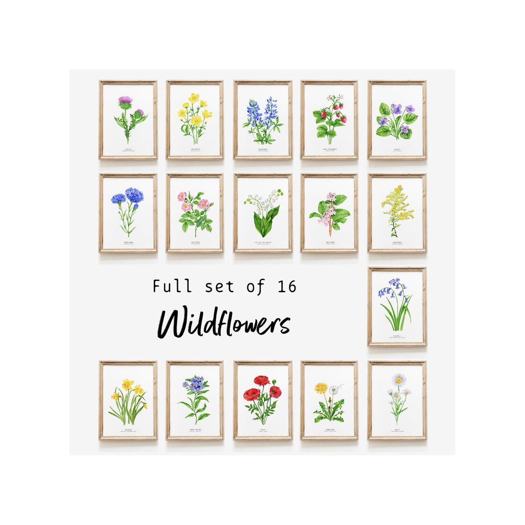 Set of 16 Watercolour Wildflower Prints | Wall Art Set | Housewarming ...