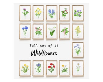 Set van 16 aquarel Wildflower-prints | Muurkunstset | Inwijdingsfeest beeldende kunst | Set kunst aan de muur | Bloemenprintset | Cadeau voor woondecoratie