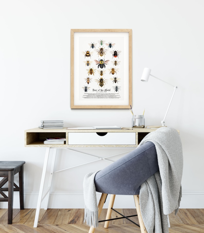 Bees of the World art print Homeschool & Montessori learning education Bumblebee Honey bee poster Living room, bathroom, bedroom décor image 7