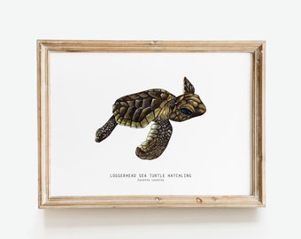 Loggerhead sea turtle hatchling print | Caretta caretta watercolor wall décor | bedroom, bathroom art poster | living room, nursery gift