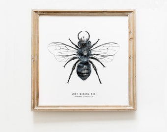 Grey Mining bee art print | Watercolour art | Home décor | Bee wall art | Montessori nature guide | Children's art print | Baby gift