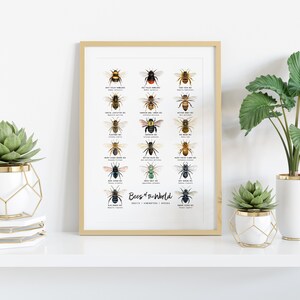 Bees of the world classroom wall art Homeschool poster Montessori learning & education Bee chart Classroom décor Bee lover gift image 2