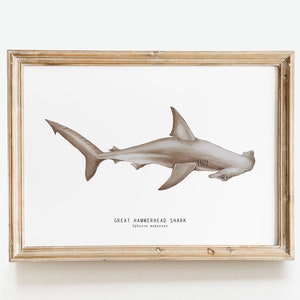 Großer Hammerhai Aquarell Kunstdruck | Ozeanisches Thema Aquarellmalerei | Haus Wohnzimmer Dekor | Sphyrna mokarran Geschenk