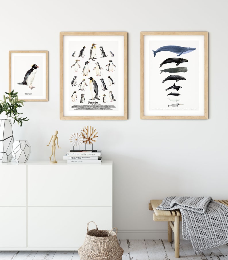 Snares penguin print dining room nature gallery wall art nautical beach home décor gift cute penguins nursery Eudyptes robustus image 4