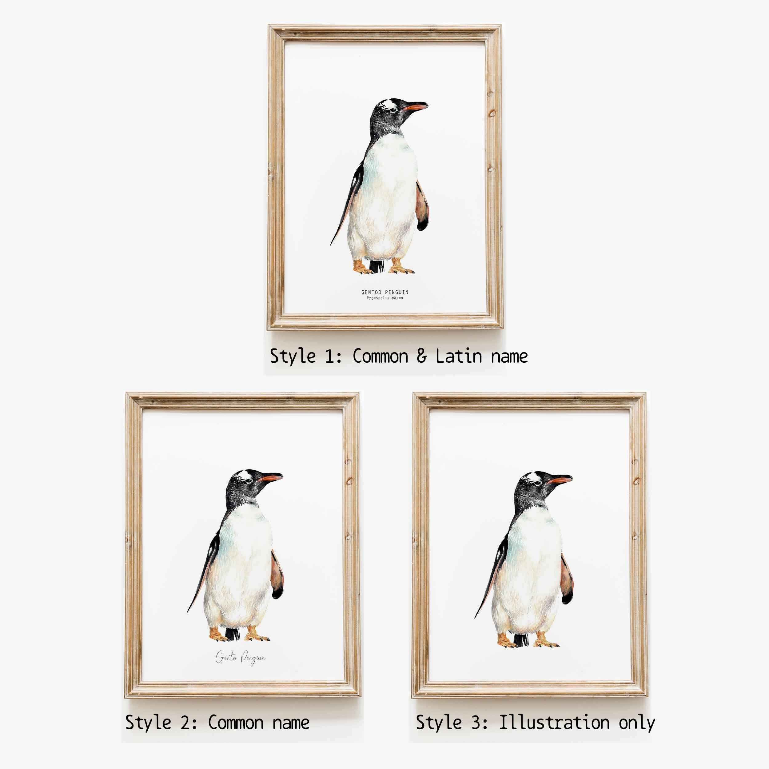 ジェンツーペンギンの水彩画ファインアートプリント | 鳥好きへの
