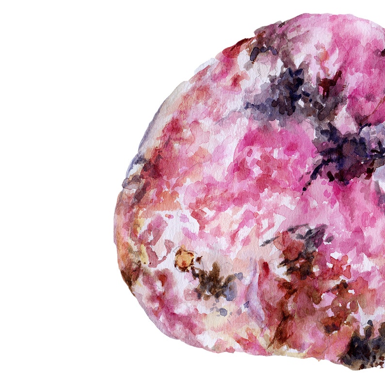 Puede incluir: Pintura acuarela de una roca rosa y marr&oacute;n con textura rugosa. La roca tiene una variedad de tonos de rosa, marr&oacute;n y blanco.
