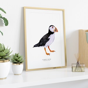 Impression dart aquarelle Atlantic Puffin Décoration murale à thème nautique Art mural de la maison de plage Affiche doiseau Décor de pépinière Cadeau de pendaison de crémaillère image 3