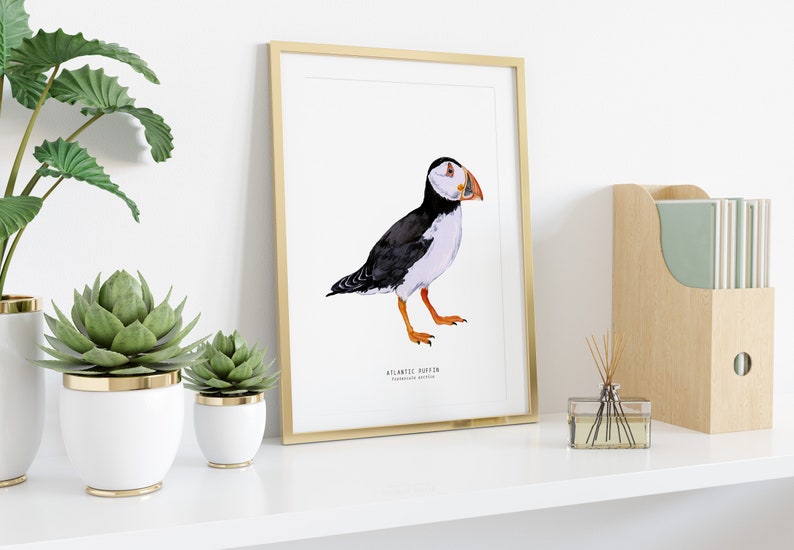 Atlantic Puffin watercolour art print Nautical theme wall decor Beach house wall art Bird poster Nursery decor Housewarming gift image 3