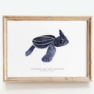 Leatherback sea turtle hatchling | Dermochelys coriacea watercolor art print | baby animals wall art | nursery girl décor | fine art gift