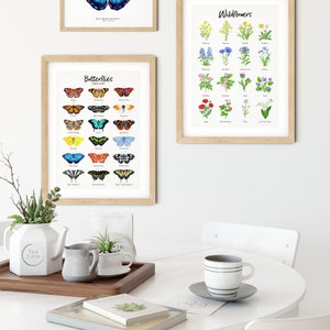 May include: A white table with a teapot, two mugs, a small plant, and two books. There are three framed prints on the wall behind the table. The prints feature illustrations of butterflies, wildflowers, and a blue morpho butterfly.