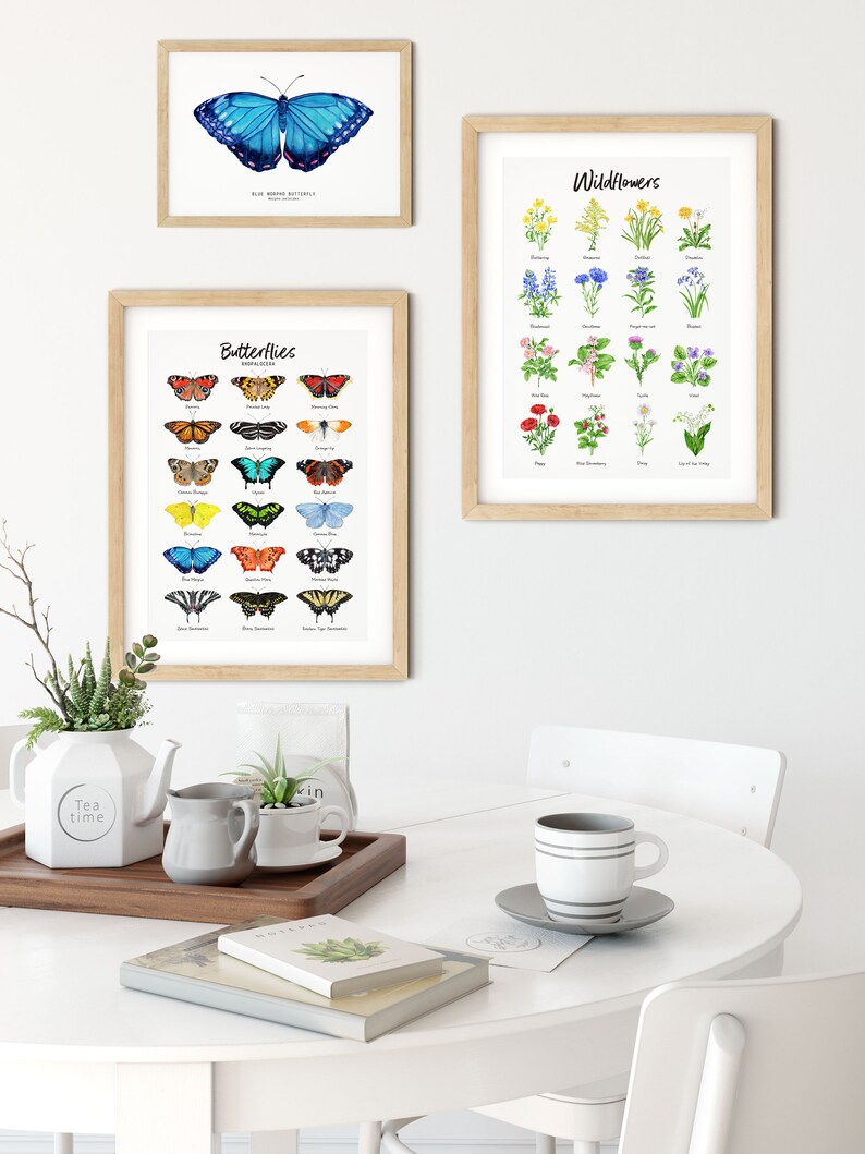 May include: A white table with a teapot, two mugs, a small plant, and two books. There are three framed prints on the wall behind the table. The prints feature illustrations of butterflies, wildflowers, and a blue morpho butterfly.