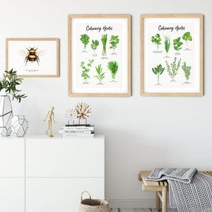 Set of 2 Botanical Herbs prints Herbs wall art for the kitchen Gardening gift Housewarming gift Foodie gift Herb Kitchen decor image 4