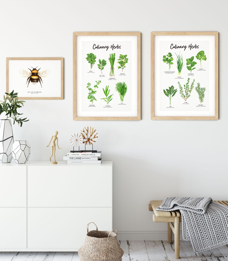 Set of 2 Botanical Herbs prints Herbs wall art for the kitchen Gardening gift Housewarming gift Foodie gift Herb Kitchen decor image 4