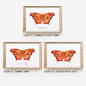 Question mark butterfly print Polygonia interrogationis watercolor art butterflies lover wall décor Nursery, living room girls gifts image 8