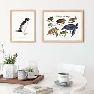 Snares penguin print dining room nature gallery wall art nautical beach home décor gift cute penguins nursery Eudyptes robustus image 6