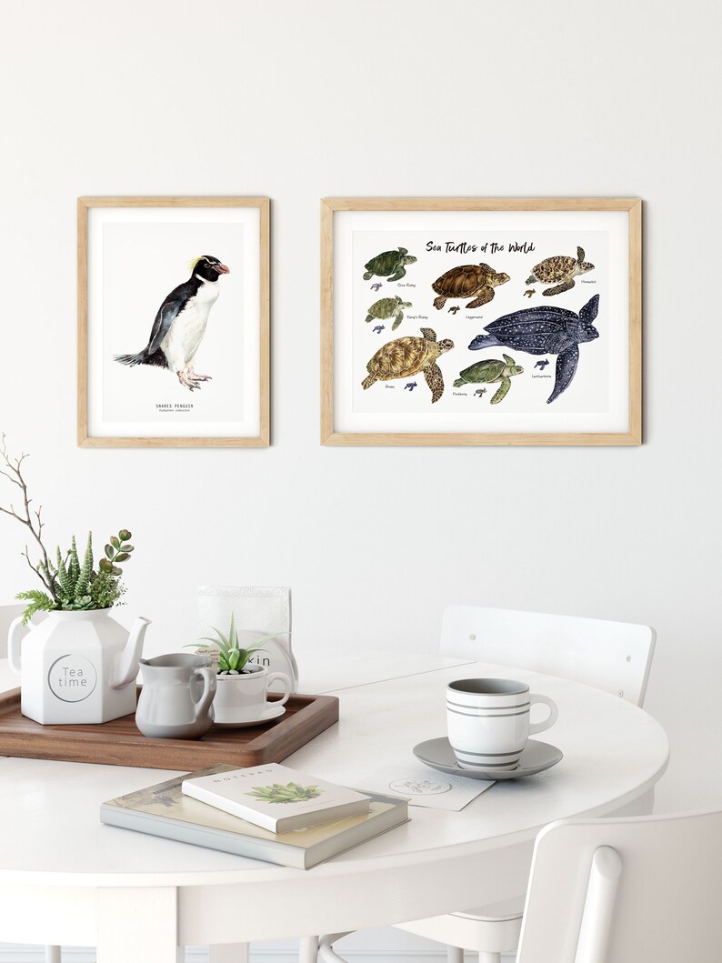 Snares penguin print dining room nature gallery wall art nautical beach home décor gift cute penguins nursery Eudyptes robustus image 6