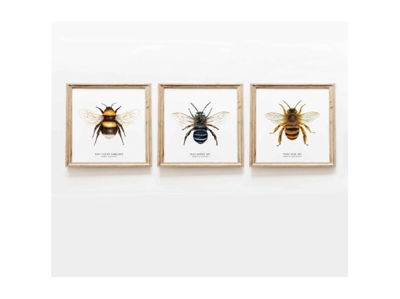 Bee themed gifts for women, men and kids. Honey bee Bumblebee save the bees  Poster for Sale by Artonmytee