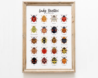 Lady Beetles art print | Ladybugs, Ladybirds | living room wall décor | gift for girl | watercolour painting | home, nursery, bedroom poster