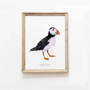 Impresión artística de acuarela de frailecillo atlántico / Decoración de pared con temática náutica / Arte de pared de casa de playa / Póster de aves / Decoración de guardería / Regalo de inauguración de la casa
