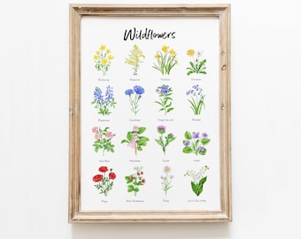 Wildflowers art print | Hand painted with watercolors | Educational nature poster | Poppy Daisy Lily Violet Bluebonnet Daffodil Dandelion